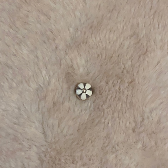 Pandora Charm - Picture 2 of 4